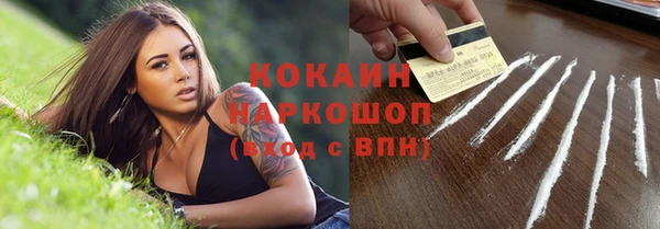 стафф Алексин