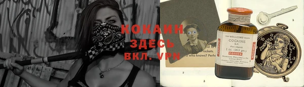 стафф Алексин