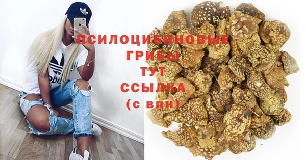 стафф Алексин