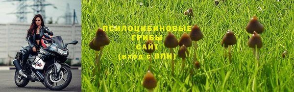 МДПВ Алзамай