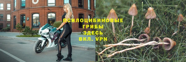 стафф Алексин