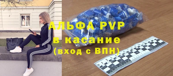 стафф Алексин