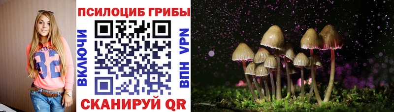 Псилоцибиновые грибы ЛСД  Богородск 